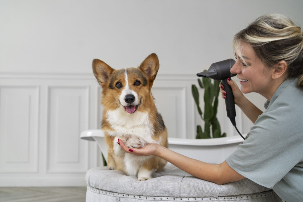 puppy grooming